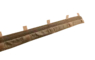 койот